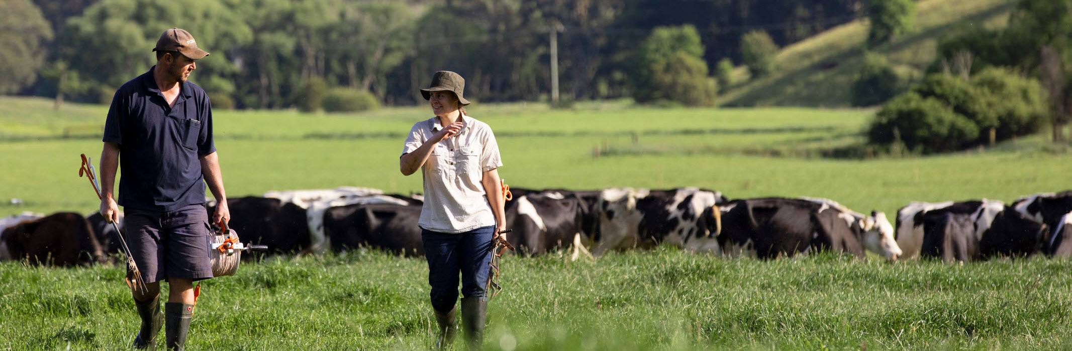 Welcome to Dairy Learn