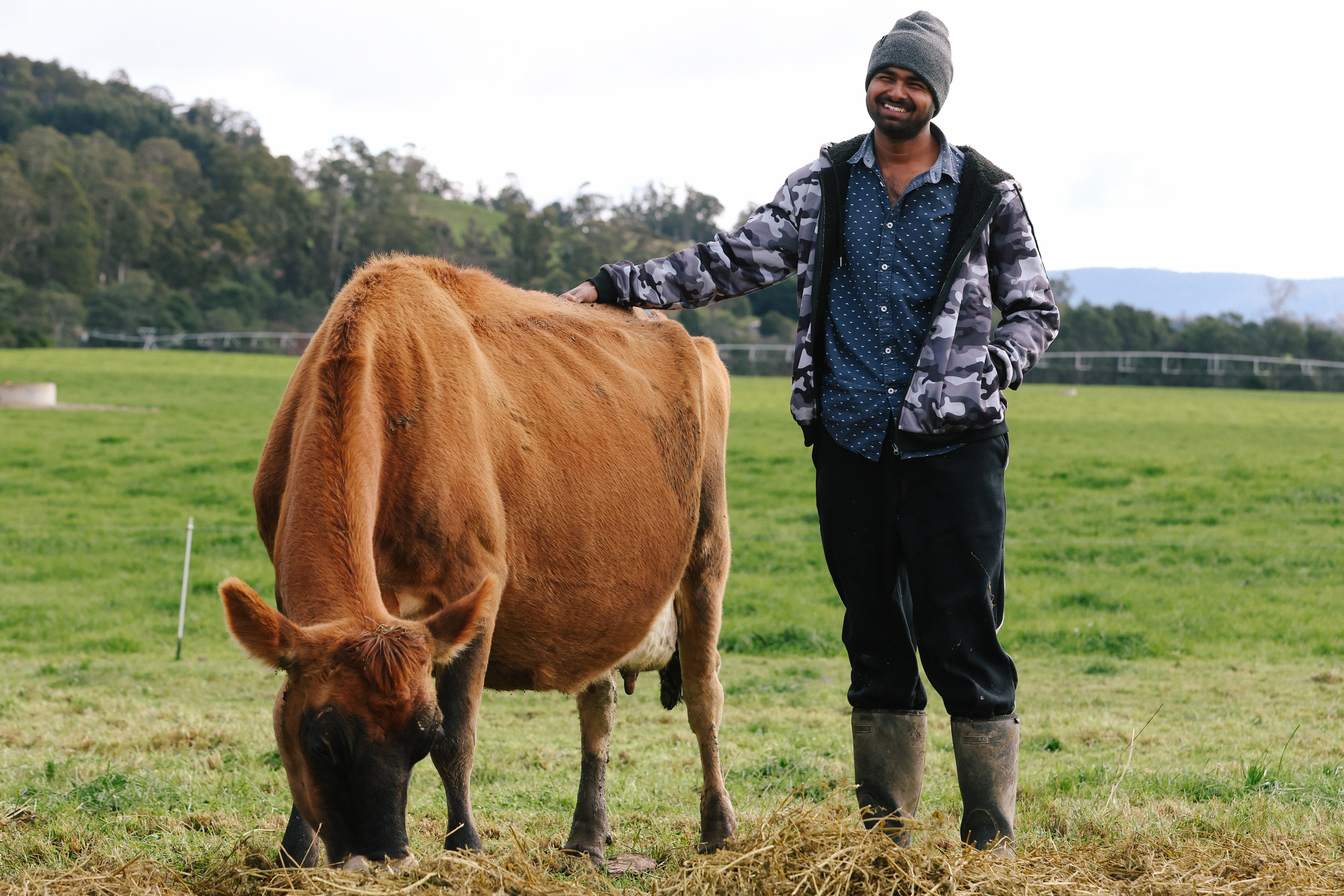 Farmer (Narendra Nagireddy) in pasture