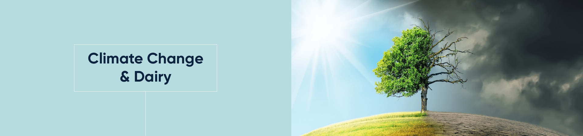Climate Change and Dairy - Course Banner