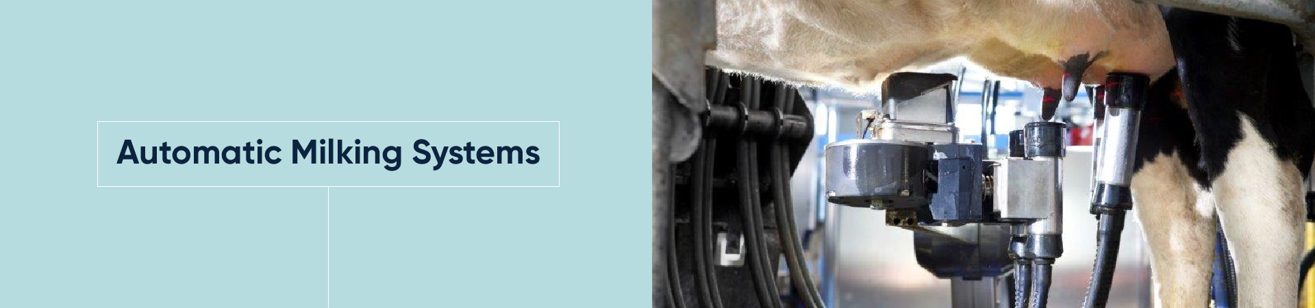 Automatic Milking Systems