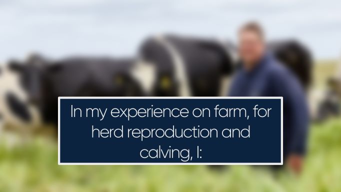 In my experience on farm, for herd reproduction and calving, I: